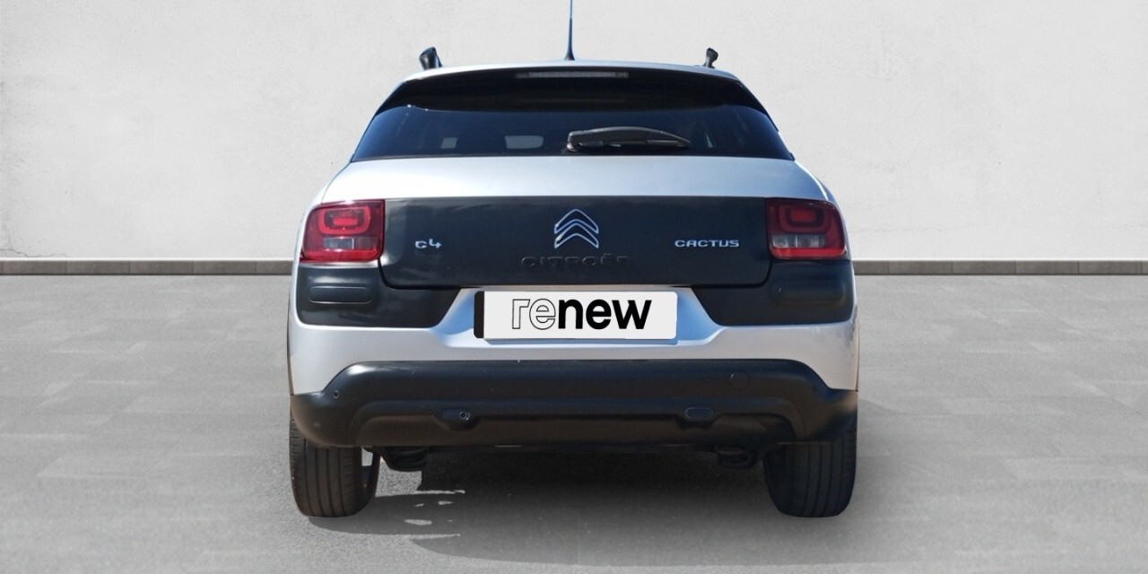 citroen c4 cactus usado